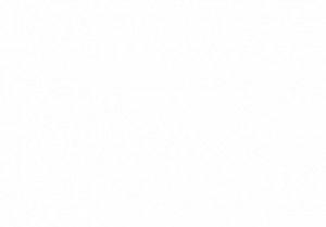 Штапель принт DT-11449/D#2/C#1