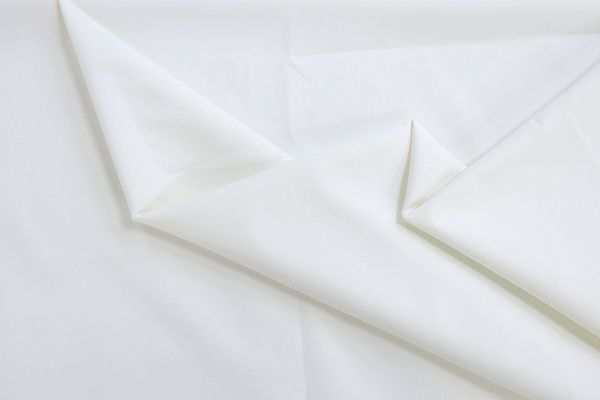 Плащевая ткань "Президент"/белый 101999/C#128 (2080) (6090) (50207)