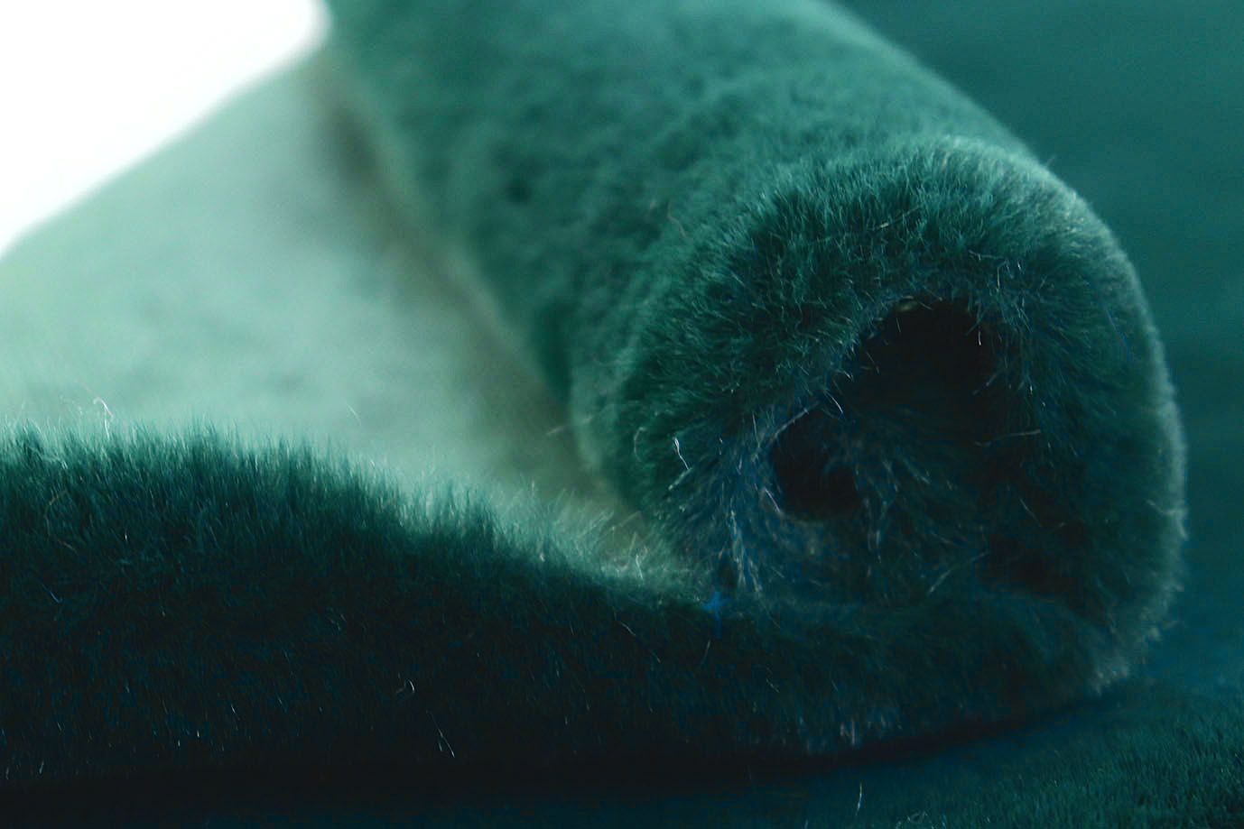 Искусственный мех "Кролик"/изумрудный AP231206140+EL/D#3062207/C#2304