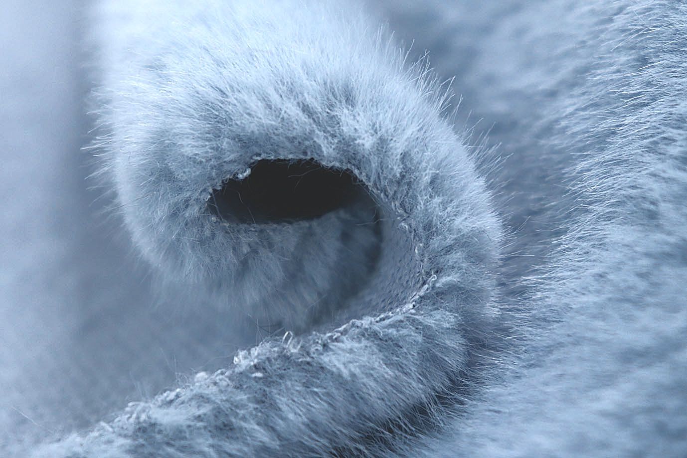 Искусственный мех "Норка"/голубой AP41106/D#1207-3105/C#2405 (1601)