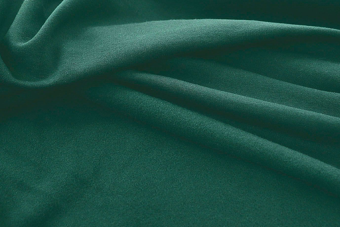 Трикотаж футер 3х нитка с петлей/темно-зеленый 0363/D#петля/C#т.зеленый 19-4818TPX