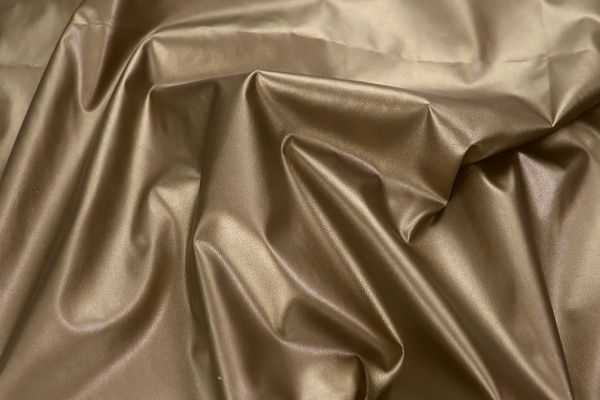 Кожа/золотой 101771 Z G/C#13