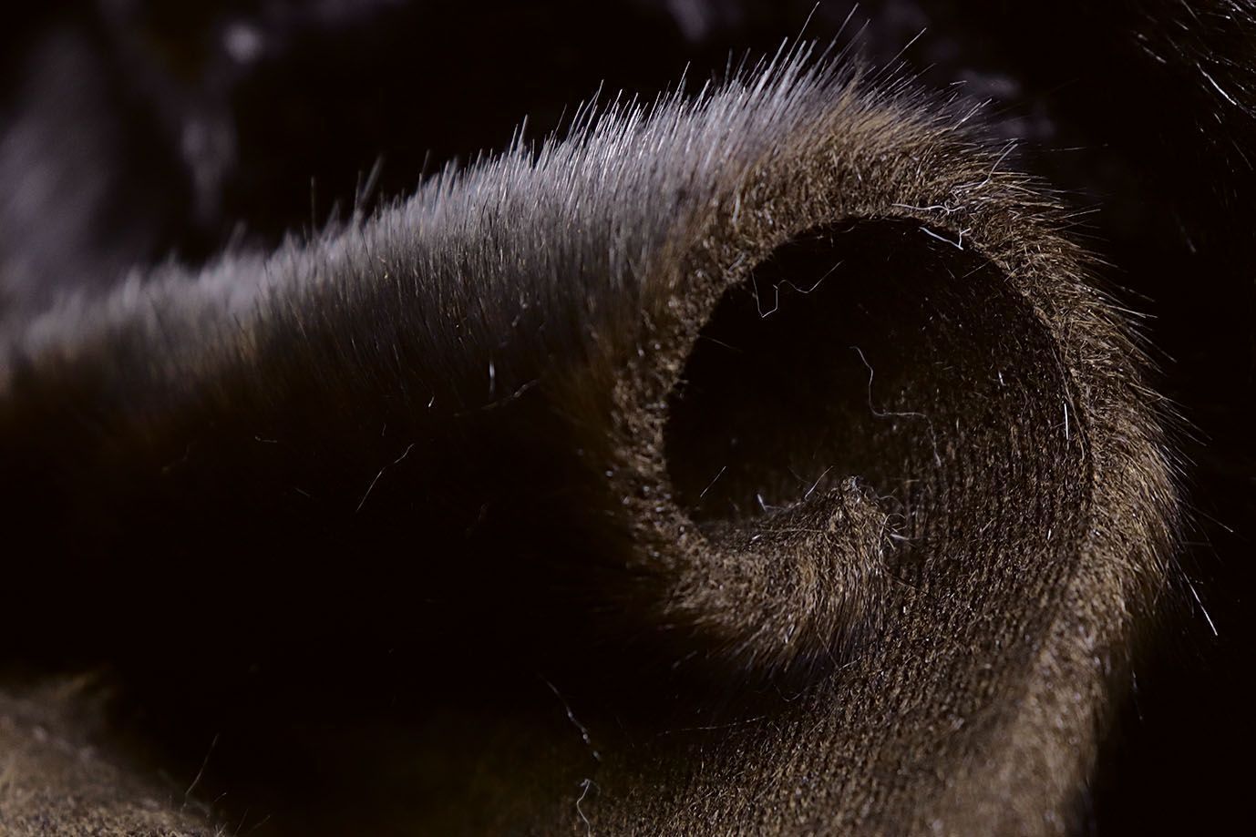 Искусственный мех "Норка"/темно-коричневый 1703148