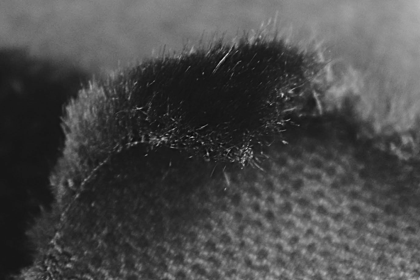 Искусственный мех "Норка"/черный AP50502/D#1207-3105/C#2409