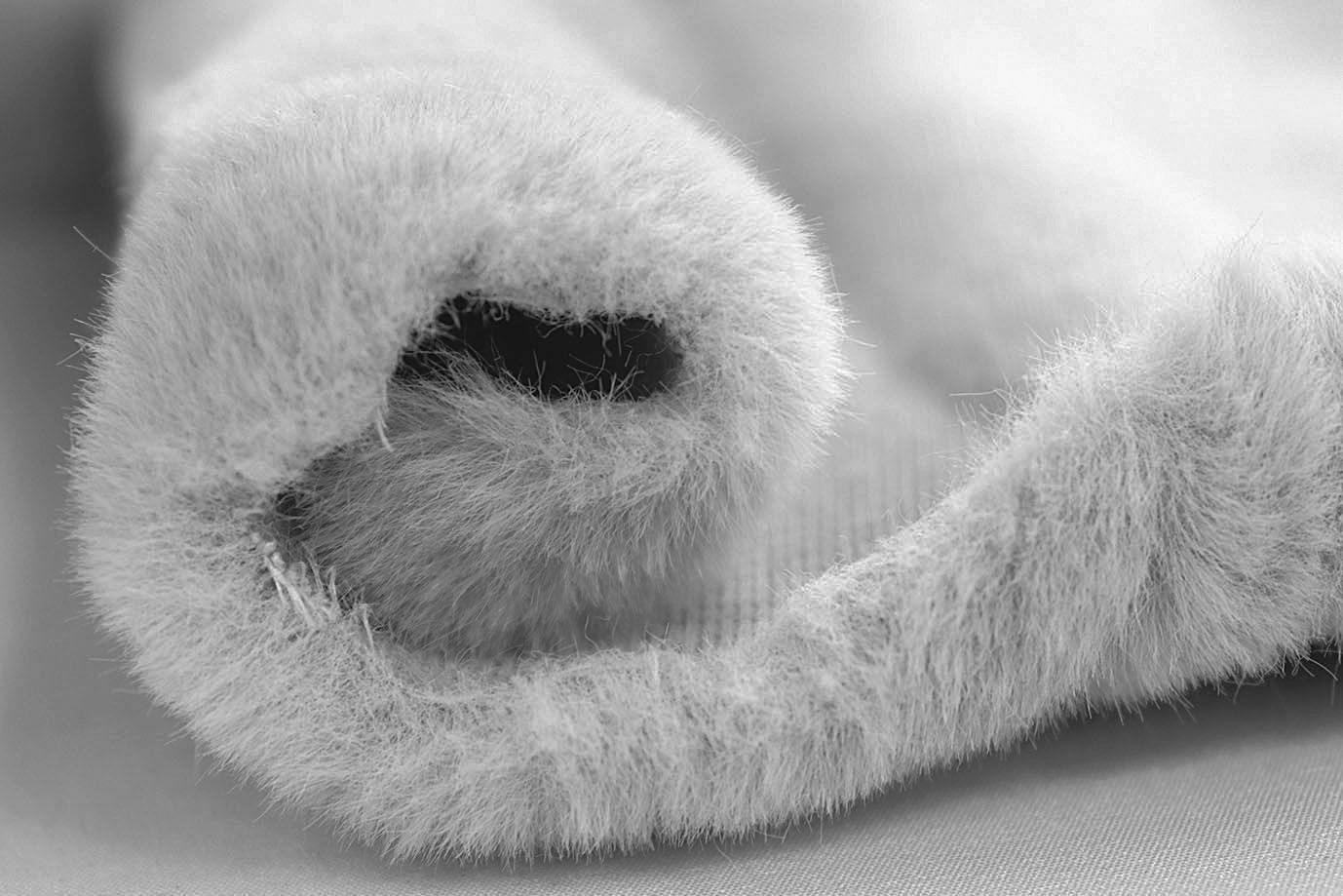 Искусственный мех "Кролик"/светло-серый AP4501+VT/D#3062207/C#2206