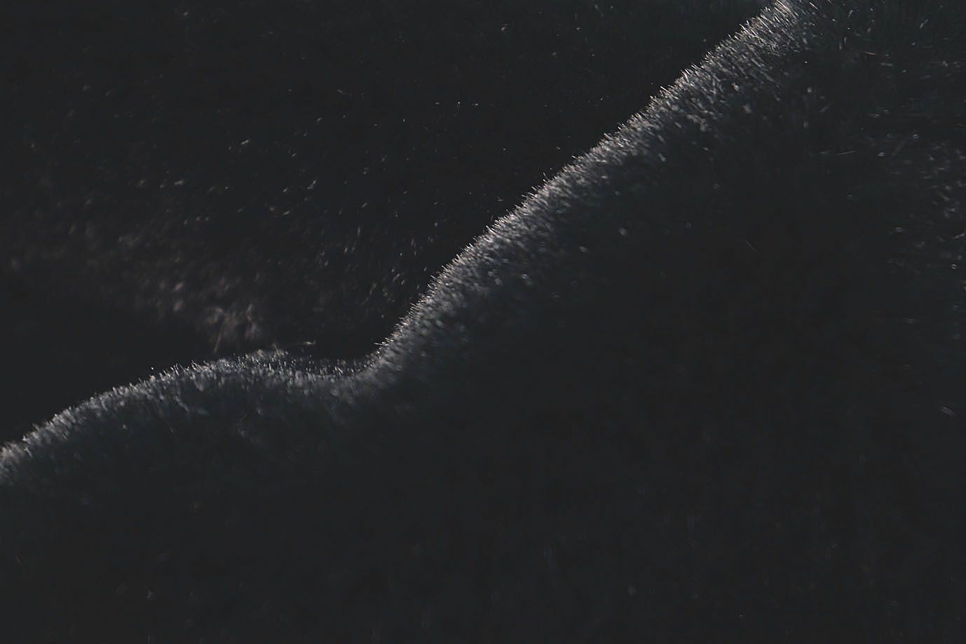 Искусственный мех "Кролик"/черный AP220217017/D#3062207/C#7