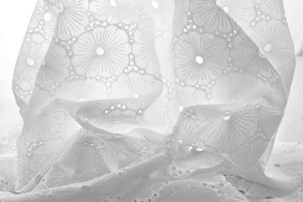 Прошва/молочный 589B-PG/D#2/C#2 (15076A)