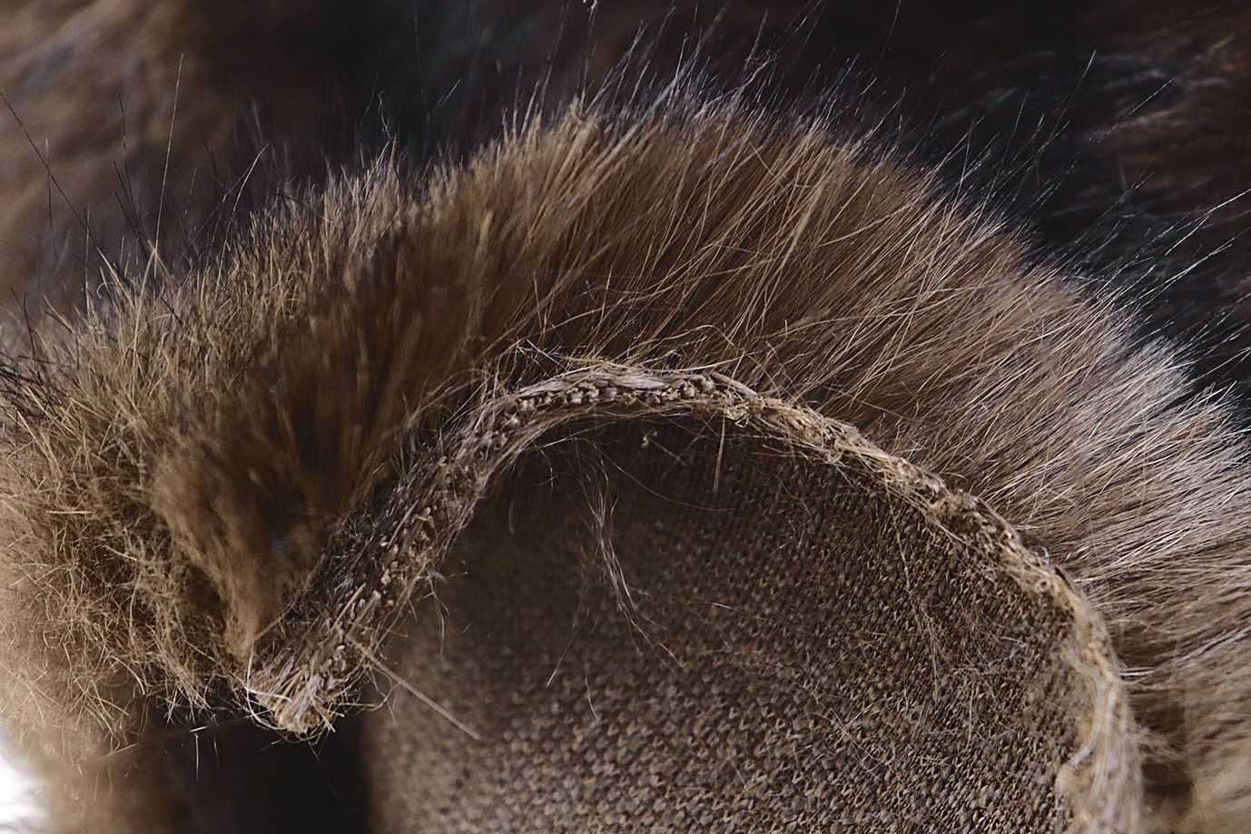 Искусственный мех "Соболь" простриженный/коричневый AP5102026/D#1683-W5F1547/C#301