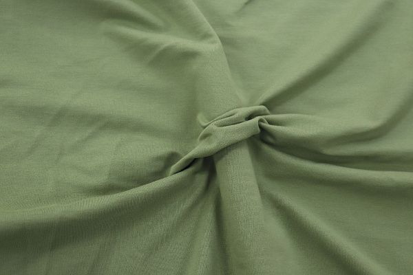 Трикотаж футер 2х нитка/оливковый 0246/C#оливковый