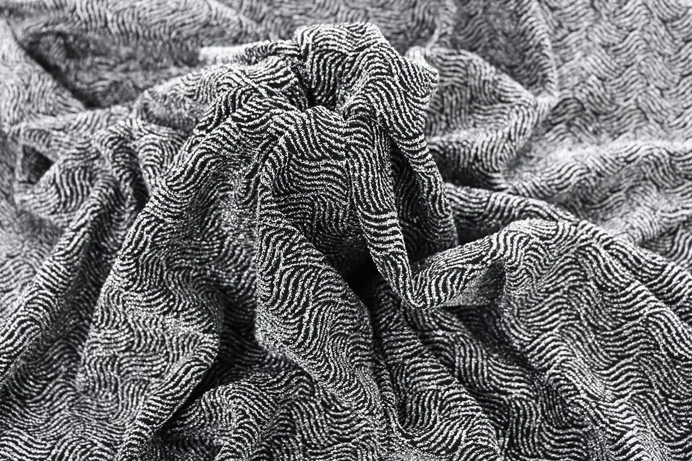 Трикотаж жаккард с люрексом принт/серебряный 4040-PY/D#2/C#1