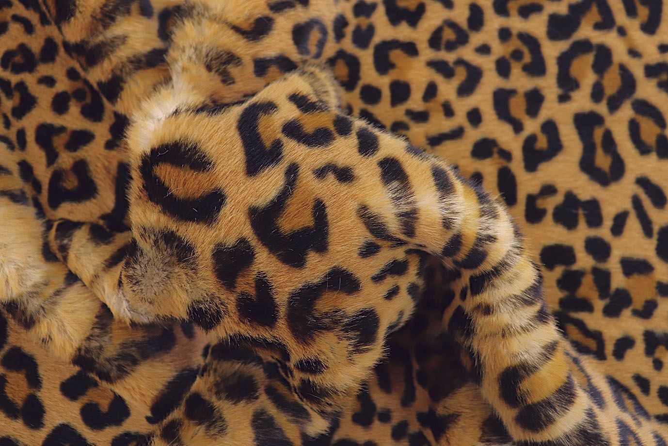 Искусственный мех "Леопард"/черно-рыжий AP2303014035/D#287-18111207/C#66 Ivory Leopard