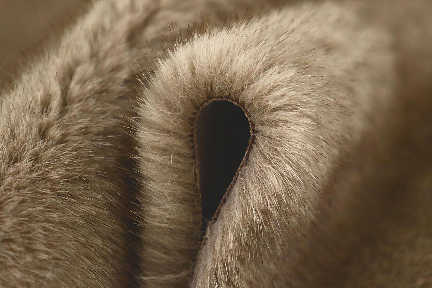 Искусственный мех "Норка"/капучино AP4305+EL/D#289-22028/C#F1411