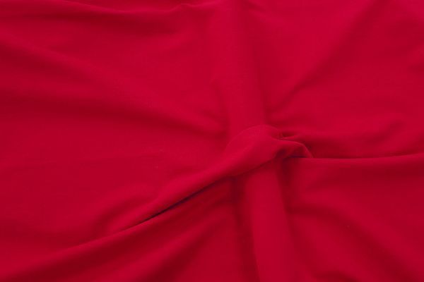 Трикотаж футер 2х нитка/красный 0246/C#красный 18-1655TPX