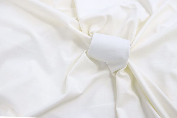 Трикотаж "Модал"/молочный SSR-844/C#1 (DT17146)