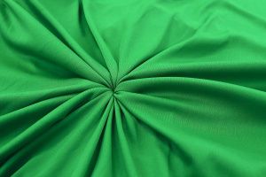 Подкладочная ткань Интерлок/ярко-зеленый 675-PG/C#11